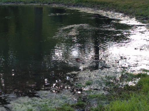 Golf Club «Hilliard Lakes Golf Club», reviews and photos, 31665 Hilliard Blvd, Westlake, OH 44145, USA