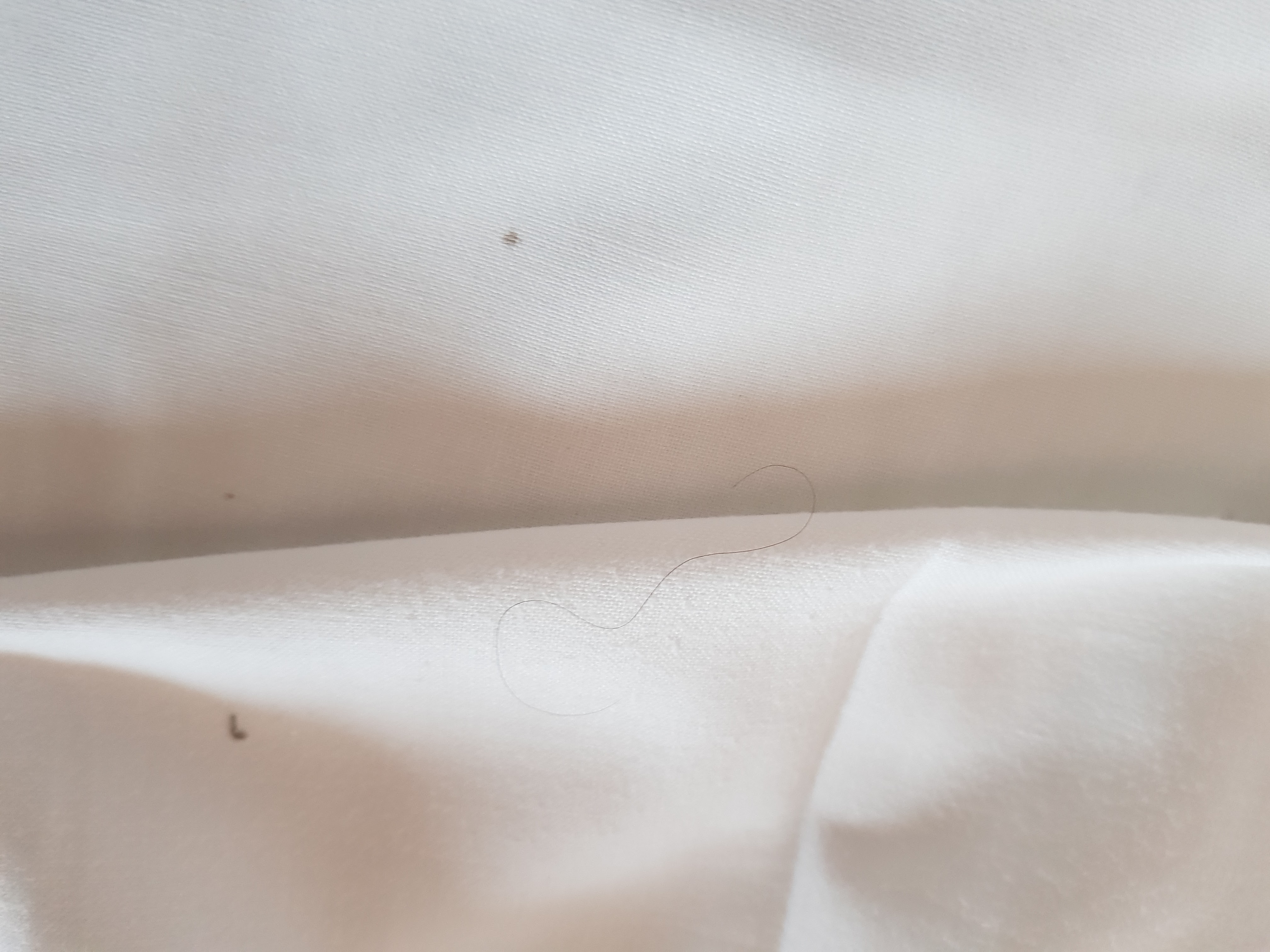 Photo n° 4 de l'avis de Jimmy.o fait le 01/08/2019 à 19:48