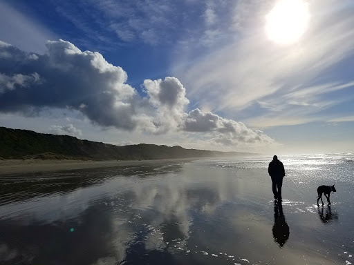 Tourist Attraction «Haystack Rock», reviews and photos, US-101, Cannon Beach, OR 97110, USA