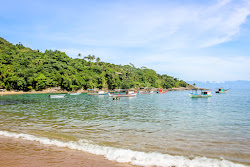 Praia da Fome'in fotoğrafı vahşi alan