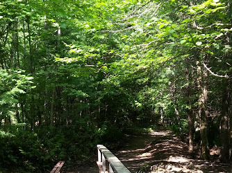Scout Valley Loop Trail