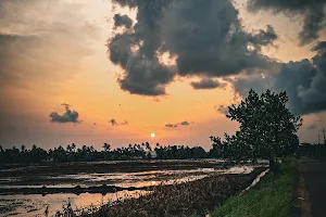 Sunset View point Kandankary(സൺസെറ്റ് വ്യൂ പോയിന്റ്, കണ്ടങ്കരി) image
