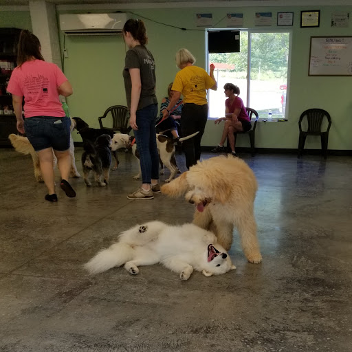 Dog Trainer «Mad 4 My Dog», reviews and photos, 702 E Temperance St, Ellettsville, IN 47429, USA