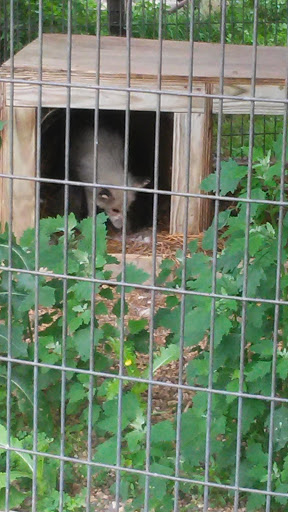 Zoo «Cricket Hollow Zoo», reviews and photos, 1512 210th St, Manchester, IA 52057, USA