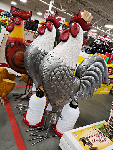 Home Improvement Store «Tractor Supply Co.», reviews and photos, 8447 FL-54, New Port Richey, FL 34655, USA