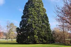 Parc Vauvert image