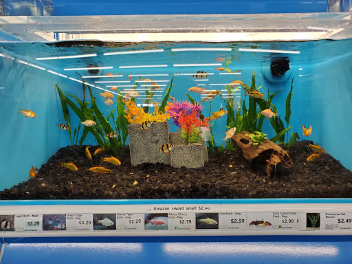 Pet Supply Store «Pet Supermarket», reviews and photos, 10291 Pines Blvd, Pembroke Pines, FL 33026, USA