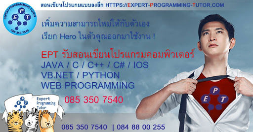 expert-programming-tutor