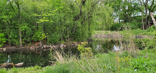 Nature Preserve «Wildwood Nature Center», reviews and photos, 529 Forestview Ave, Park Ridge, IL 60068, USA