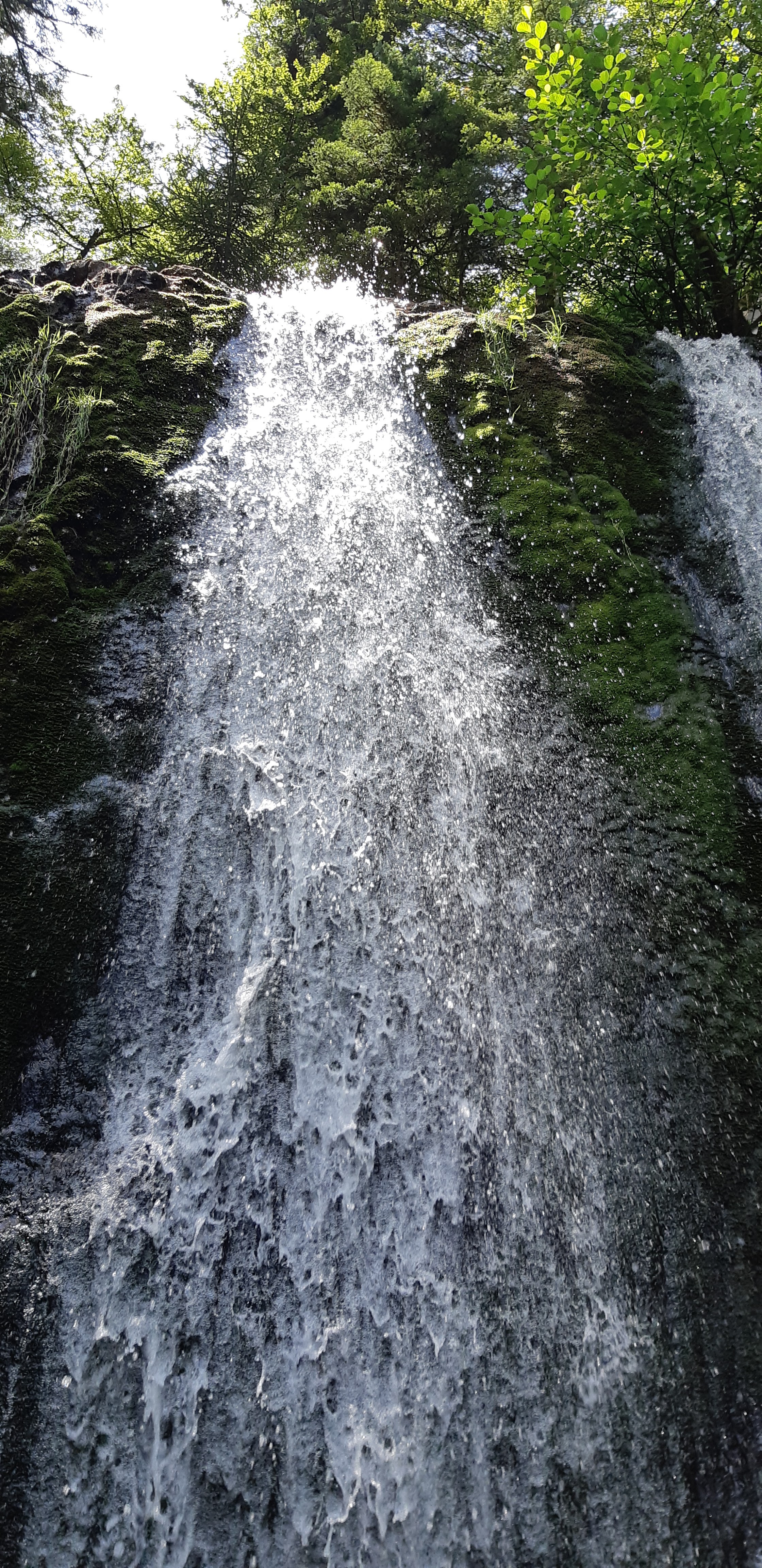 Photo n° 3 de l'avis de Anthony. fait le 03/08/2019 à 16:00