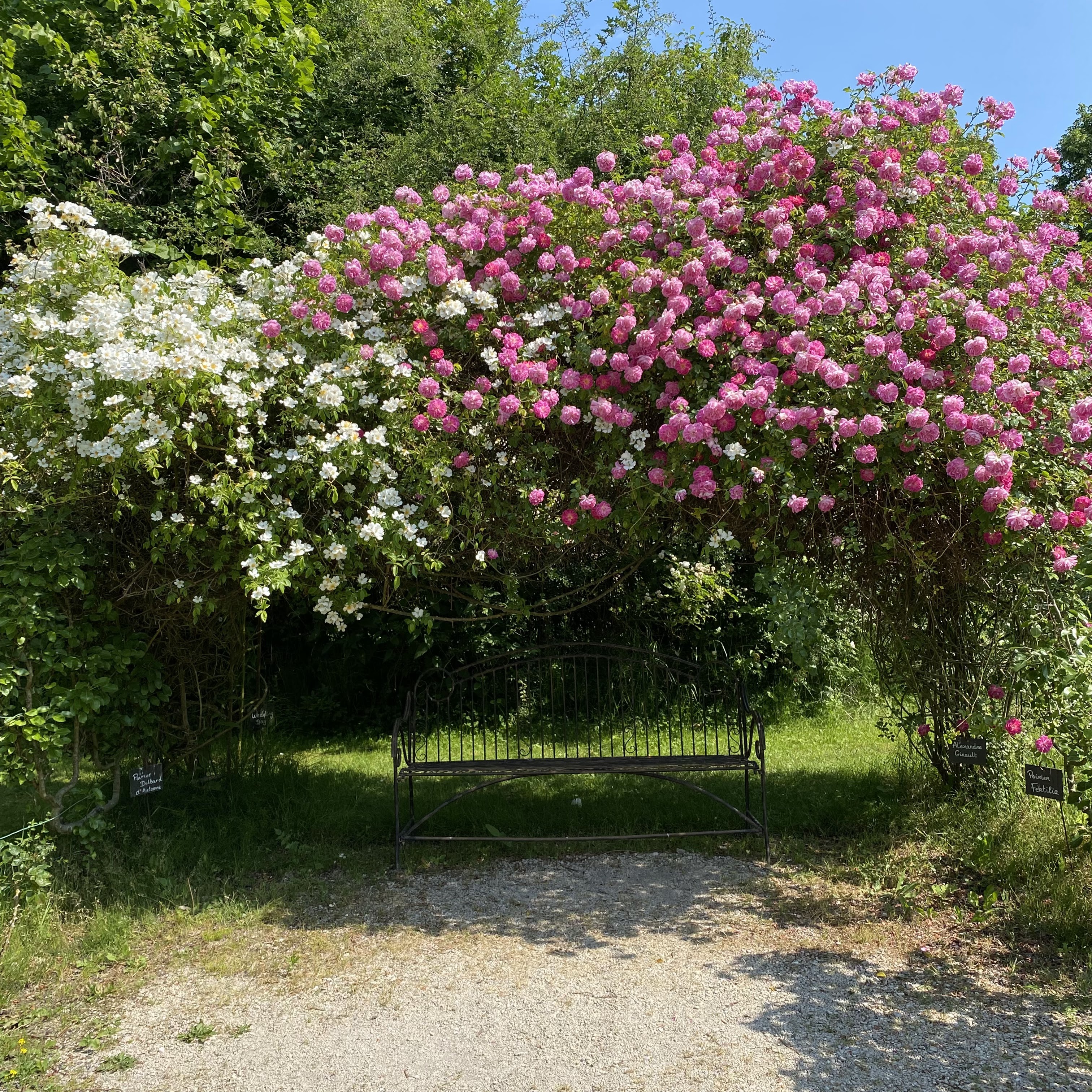 Photo n° 2 de l'avis de C. fait le 27/08/2023 à 21:21