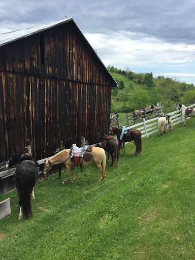 Winery «StoneBrook Winery», reviews and photos, 6570 Vineyard Ln, Melbourne, KY 41059, USA