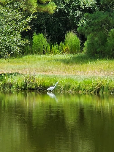 Public Golf Course «Tour 18 Golf Course», reviews and photos, 3102 FM 1960, Humble, TX 77338, USA