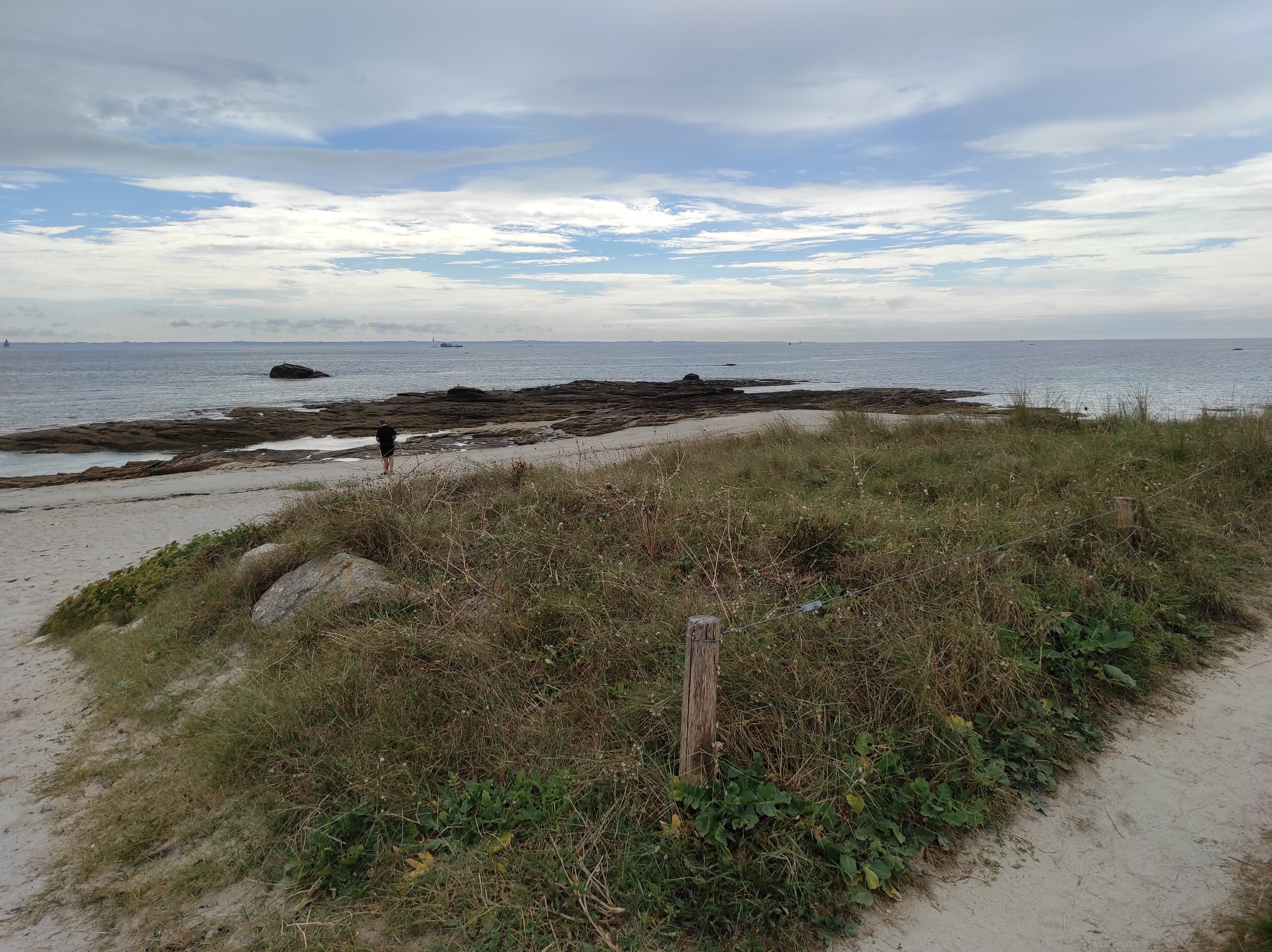 Photo n° 1 de l'avis de Bresson.h fait le 08/09/2021 à 16:09