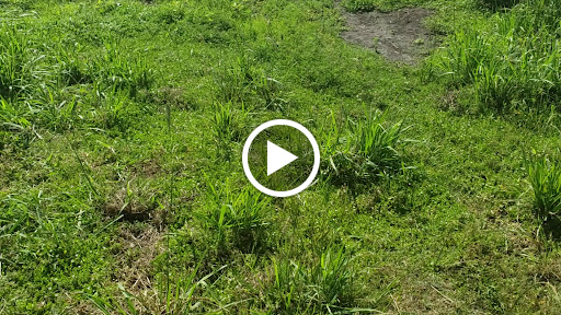 Nature Preserve «Lake Apopka North Shore», reviews and photos, 24600 County Road 448A, Mt Dora, FL 32757, USA