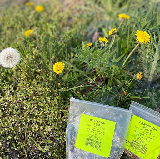 Temple Health Concepts