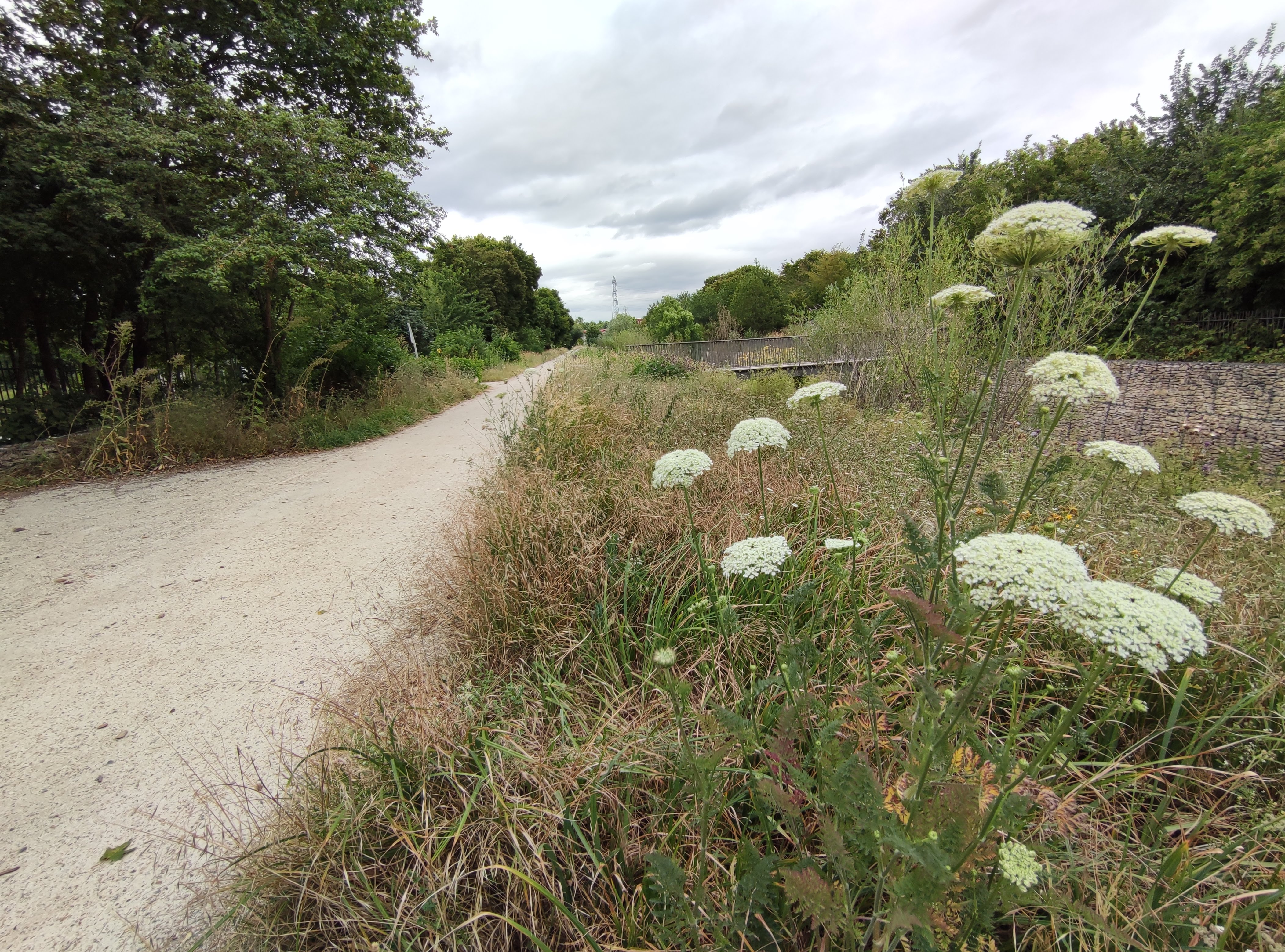 Photo n° 1 de l'avis de Sanjy.u fait le 25/07/2020 à 15:24