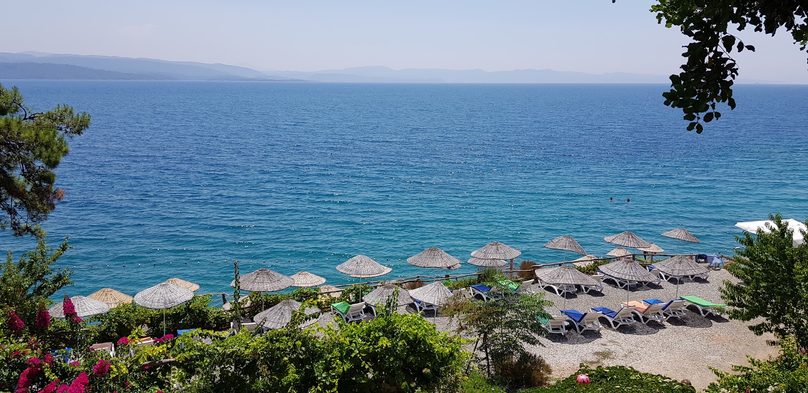 Çardak Plaj'in fotoğrafı dağlarla çevrili
