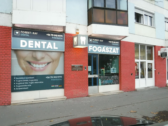 Dental Fogászat