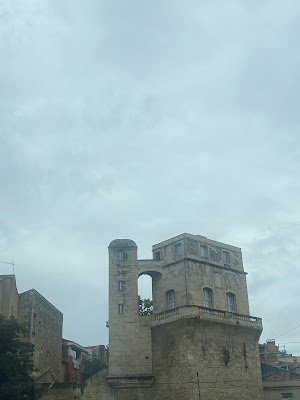 Le charolais à Montpellier