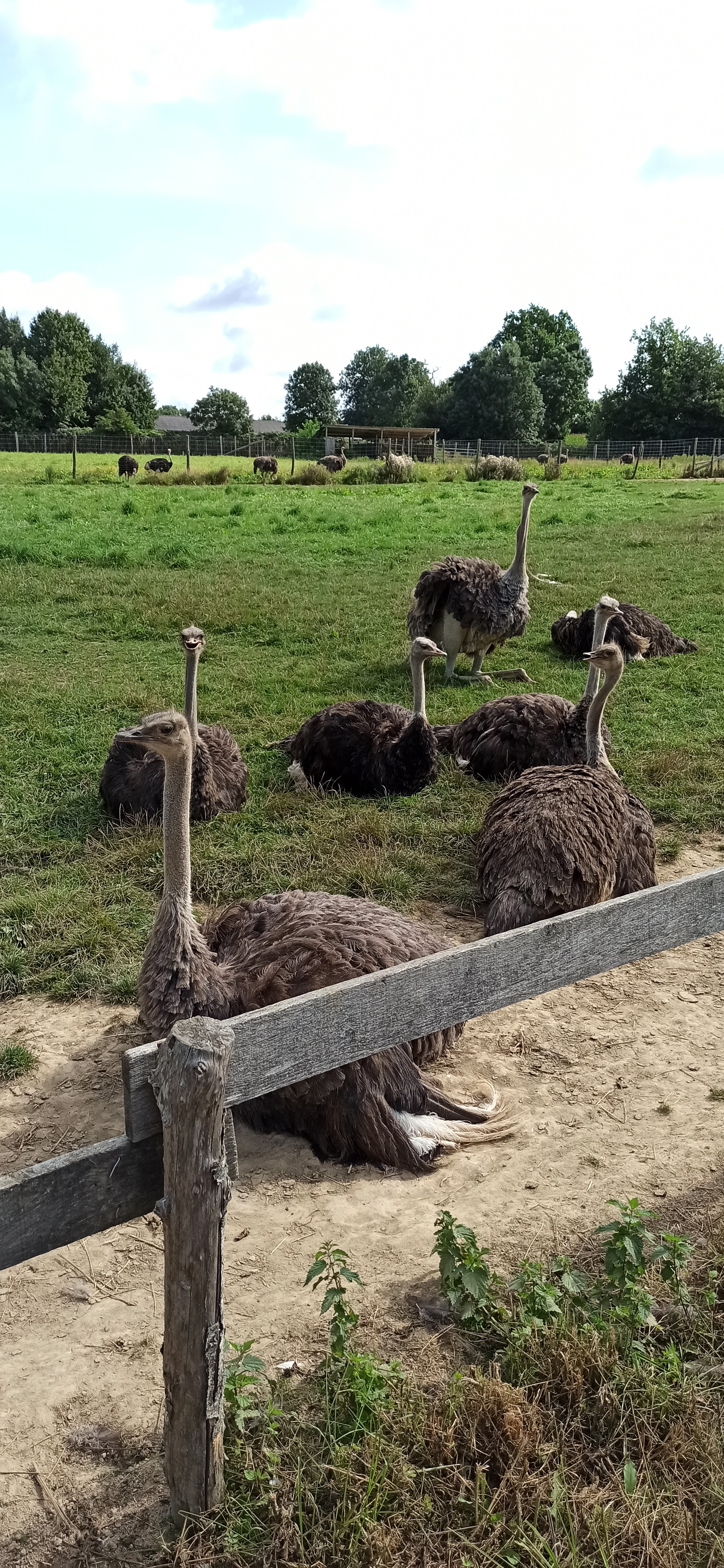 Photo n° 2 de l'avis de Amandine.. fait le 25/08/2021 à 05:09