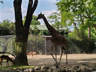 Tierpark Hagenbeck