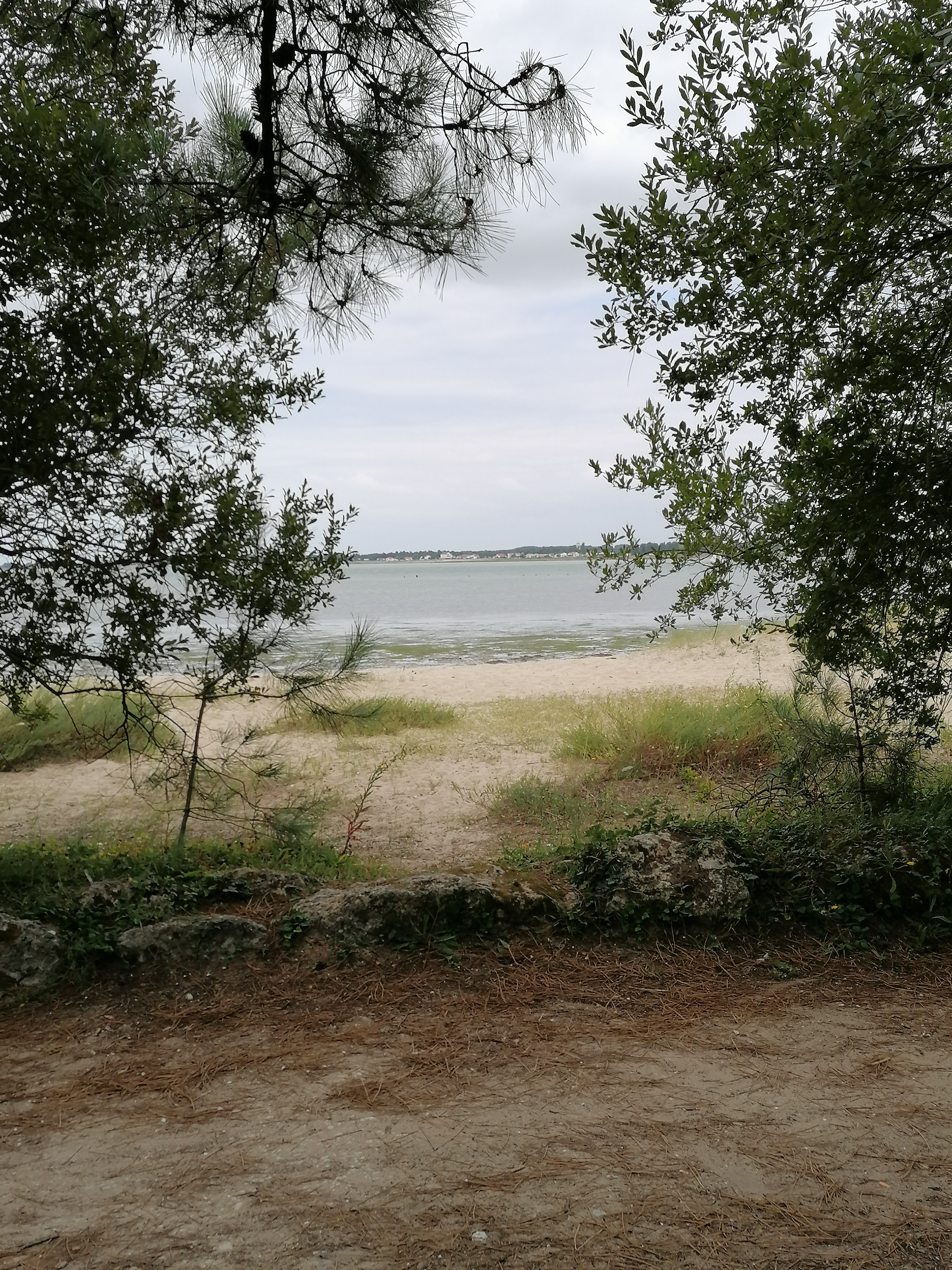 Photo n° 1 de l'avis de marjo.E fait le 17/08/2021 à 15:02