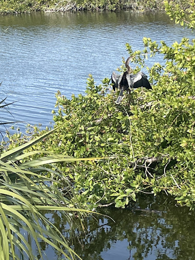 Golf Course «Sanibel Island Golf Club», reviews and photos, 1100 Par View Dr, Sanibel, FL 33957, USA