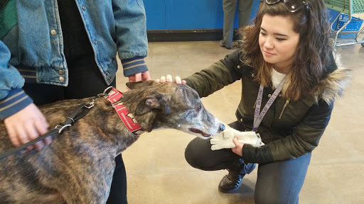 Pet Supply Store «PetSmart», reviews and photos, 2216 E Springs Dr, Madison, WI 53704, USA