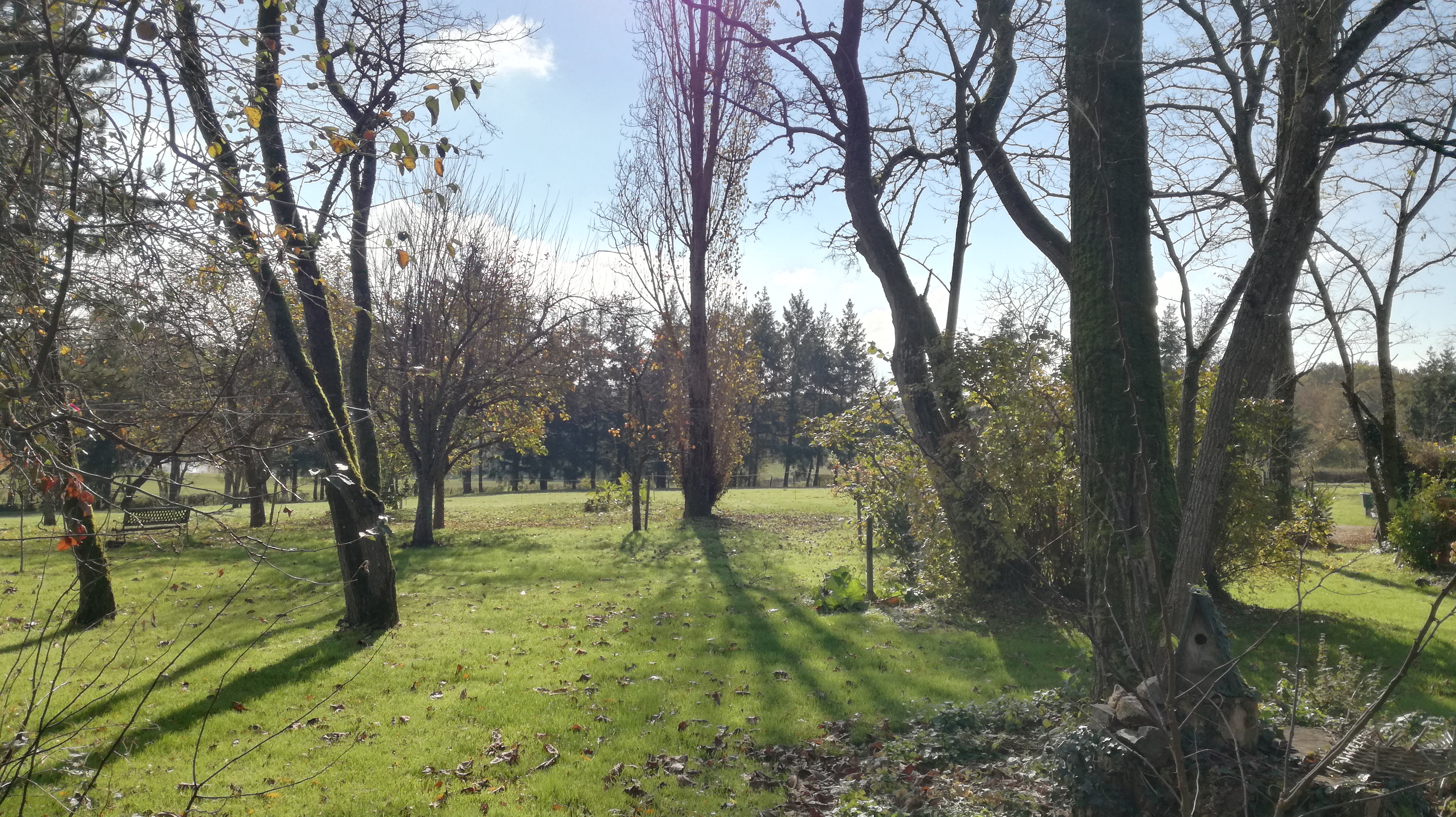 Photo n° 2 de l'avis de compte.o fait le 09/01/2022 à 20:06
