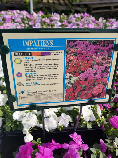 Florist «Lyndhurst Florist», reviews and photos, 5268 Mayfield Rd, Lyndhurst, OH 44124, USA