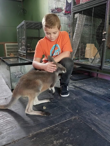 Castillo Family Farm Rescue INC