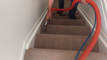 All Rounder Carpet Cleaning and Pest Control Devonport