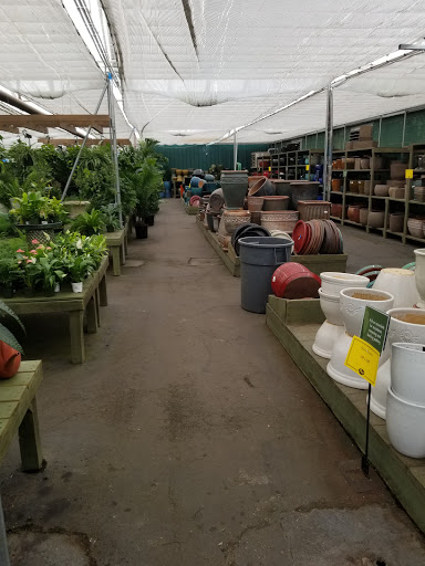 Garden Center «Pike Nurseries», reviews and photos, 615 W Crossville Rd, Roswell, GA 30075, USA