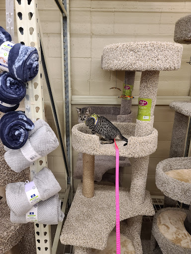 Pet Supply Store «PetSmart», reviews and photos, 156 Old Little Britain Rd, Newburgh, NY 12550, USA