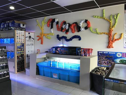 Aquarium «Nemos Aquarium», reviews and photos, 4051 Stone Mountain Hwy, Snellville, GA 30039, USA