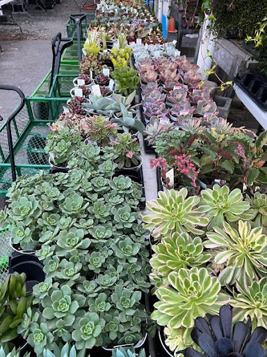 Florist «TG Designs», reviews and photos, 19231 Longmeadow Rd, Hagerstown, MD 21742, USA