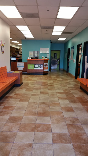 Pet Supply Store «PetSmart», reviews and photos, 1421 Carl D Silver Parkway, Fredericksburg, VA 22401, USA