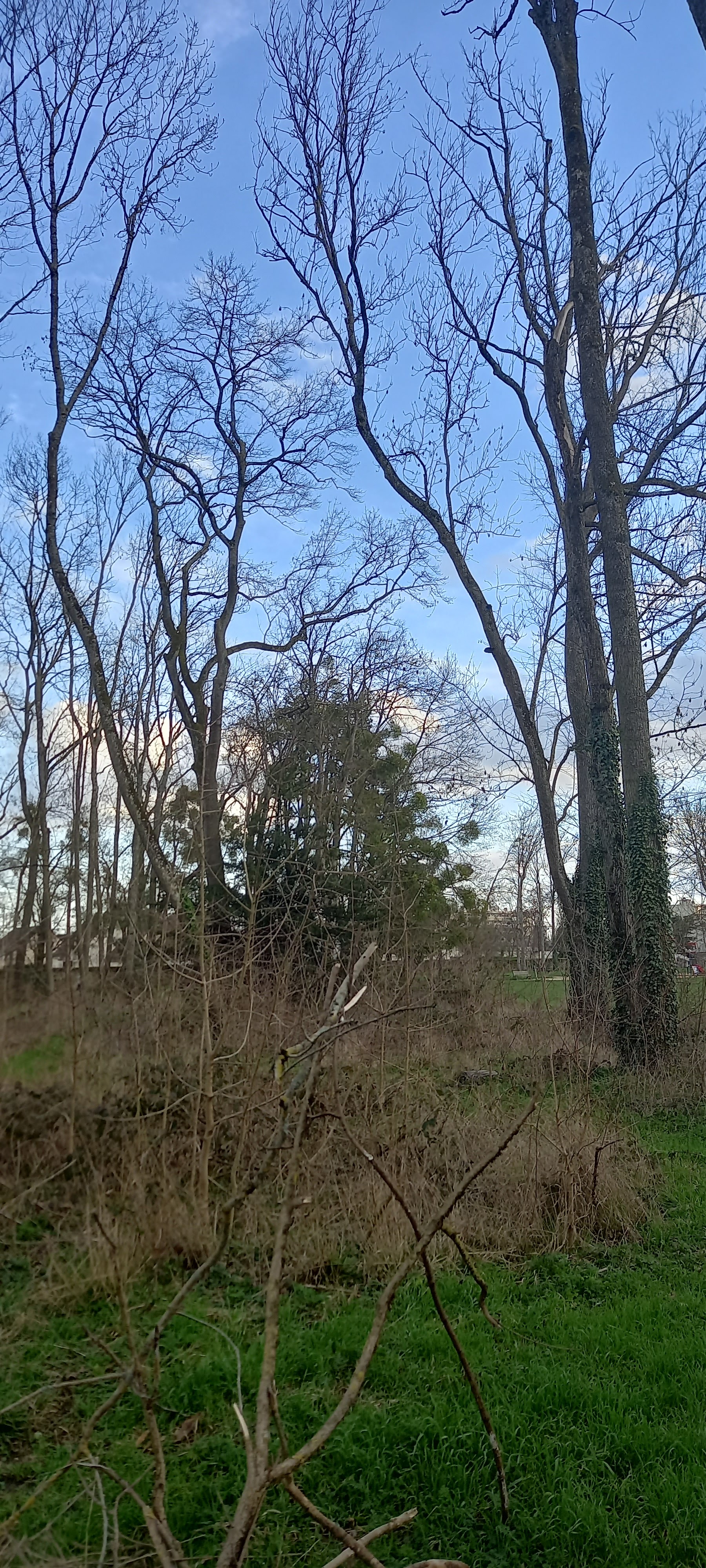 Photo n° 4 de l'avis de Nathalie.o fait le 20/02/2024 à 18:32