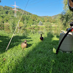 Photo n°1 de l'avis de Walter.r fait le 15/06/2023 à 17:34 sur le  Ferieninsel Winningen à Winningen