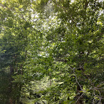 Photo n°1 de l'avis de Alessandro.a fait le 11/06/2022 à 14:31 sur le  Hotel Giubileo à Località Rifreddo, Pignola