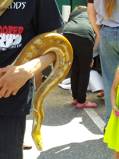 Pet Store «Zoo Creatures Pet Store», reviews and photos, 149 Plaistow Rd, Plaistow, NH 03865, USA