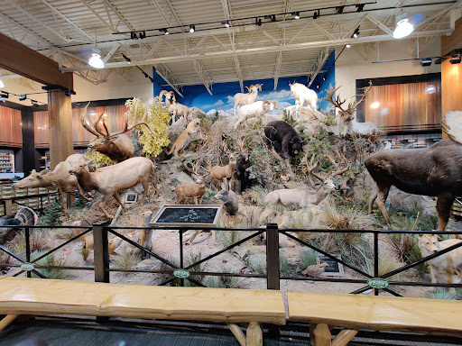 Outdoor Sports Store «Field & Stream», reviews and photos, 520 Clock Tower Way, Crescent Springs, KY 41017, USA