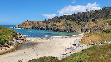 Stump Beach and Salt Point Trail parking