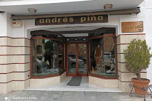 Andrés Piña image