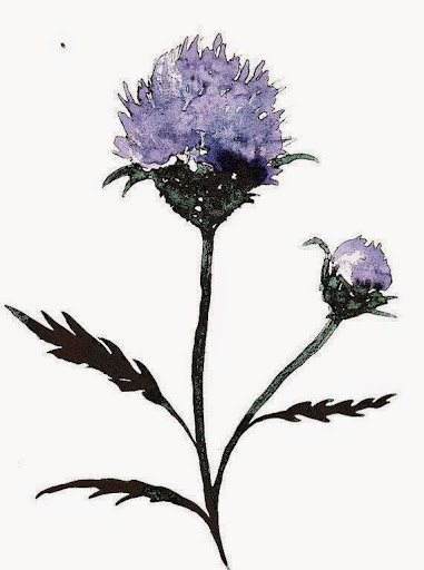 Florist «Thistle Floral & Home», reviews and photos, 25960 Central Ave NE, Kingston, WA 98346, USA