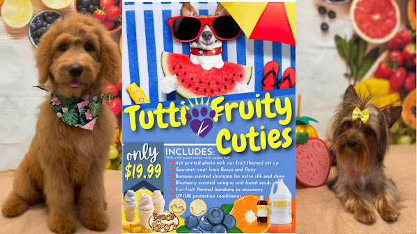 Puppy Charm Dog Grooming