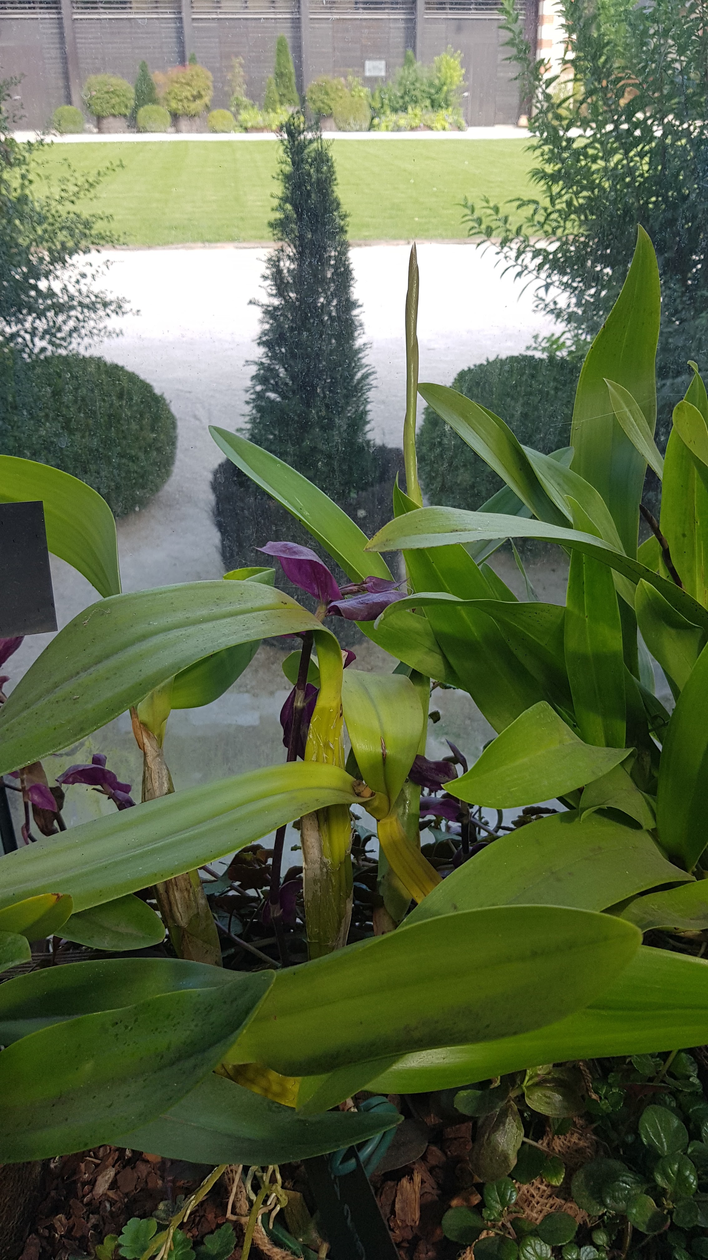 Photo n° 14 de l'avis de Fred.y fait le 26/08/2021 à 19:16