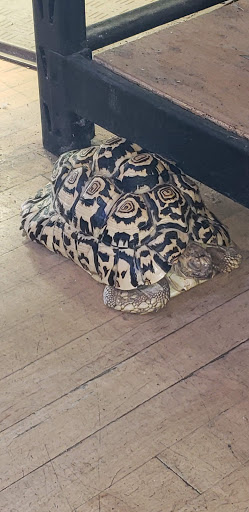 Pet Store «Critter Cabana», reviews and photos, 516 E 1st St, Newberg, OR 97132, USA