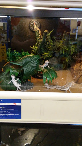 Variety Store «Five Below», reviews and photos, 846 Pelham Pkwy, Pelham, NY 10803, USA